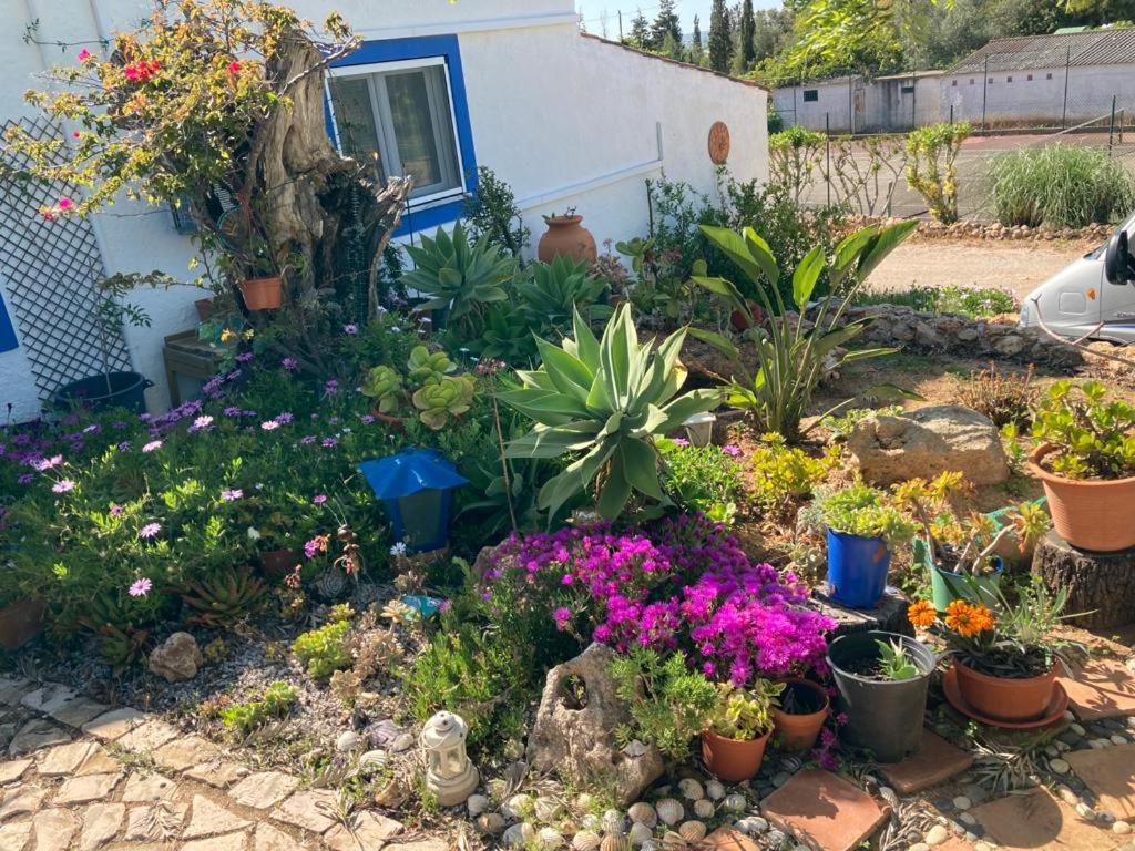 Vila Casa Aleg Albufeira Exteriér fotografie